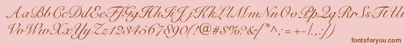 Police R791ScriptRegular – polices brunes sur fond rose