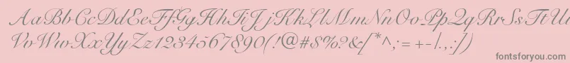 フォントR791ScriptRegular – ピンクの背景に灰色の文字