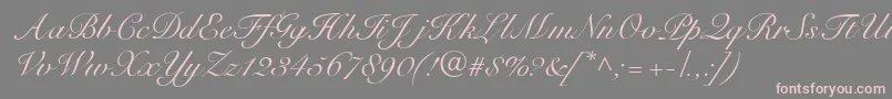 R791ScriptRegular-Schriftart – Rosa Schriften auf grauem Hintergrund