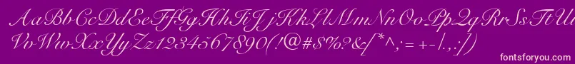 Czcionka R791ScriptRegular – różowe czcionki na fioletowym tle