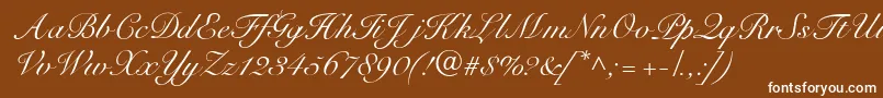 R791ScriptRegular-Schriftart – Weiße Schriften auf braunem Hintergrund