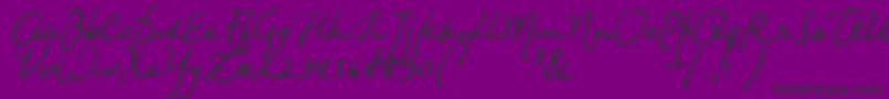 Nightwindsentsample-Schriftart – Schwarze Schriften auf violettem Hintergrund