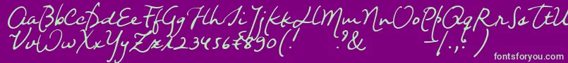 Nightwindsentsample Font – Green Fonts on Purple Background