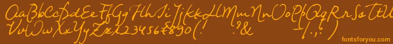 Nightwindsentsample Font – Orange Fonts on Brown Background