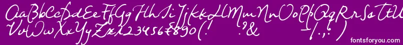 Nightwindsentsample Font – White Fonts on Purple Background