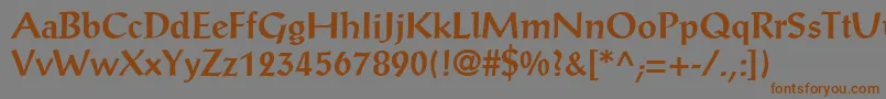 AntiquaSsiBold Font – Brown Fonts on Gray Background