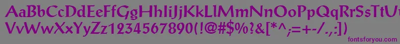 AntiquaSsiBold Font – Purple Fonts on Gray Background