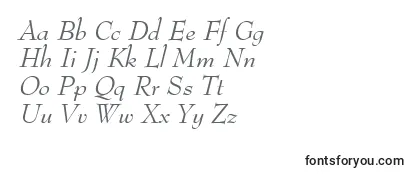 MonitorSsiItalic Font