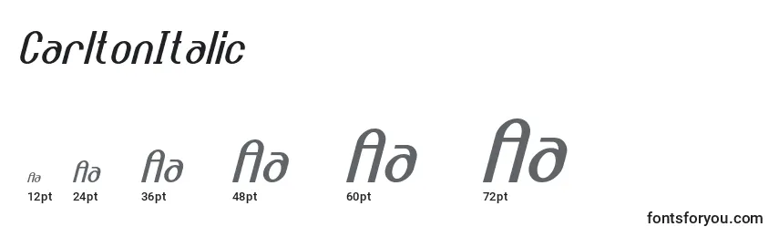 CarltonItalic Font Sizes