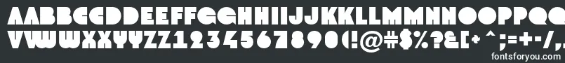 フォントGrotoNormal – 黒い背景に白い文字