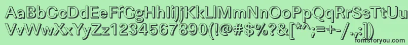 LinearshMediumRegular Font – Black Fonts on Green Background