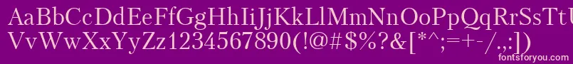 Petersburgctt Font – Pink Fonts on Purple Background