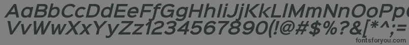 フォントSinkinsans600semibolditali – 黒い文字の灰色の背景