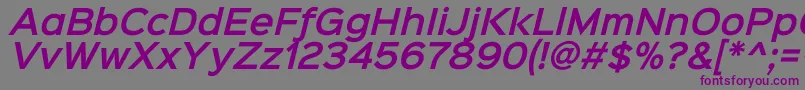 フォントSinkinsans600semibolditali – 紫色のフォント、灰色の背景