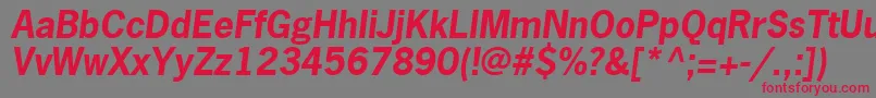 MacroSsiBoldItalic Font – Red Fonts on Gray Background