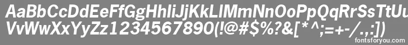 フォントMacroSsiBoldItalic – 灰色の背景に白い文字