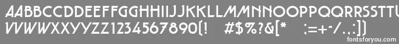 フォントTautLtRegular – 灰色の背景に白い文字