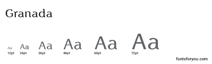 Granada Font Sizes