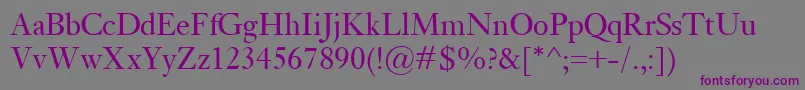 Шрифт KisClassico – фиолетовые шрифты на сером фоне
