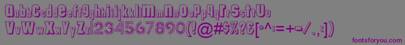 Tungfontalpha003 Font – Purple Fonts on Gray Background