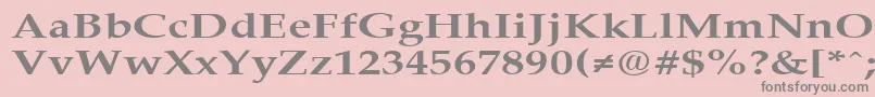 PalisadebroadBold Font – Gray Fonts on Pink Background