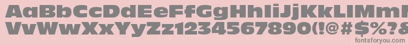 AntiqueolivestdNord Font – Gray Fonts on Pink Background
