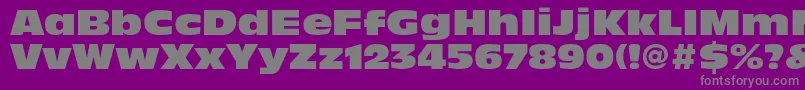 フォントAntiqueolivestdNord – 紫の背景に灰色の文字