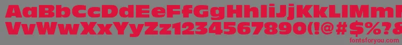 AntiqueolivestdNord-fontti – punaiset fontit harmaalla taustalla