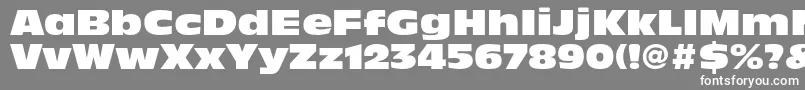 AntiqueolivestdNord Font – White Fonts on Gray Background