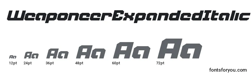 WeaponeerExpandedItalic Font Sizes