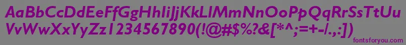 GillSansBoldItalic Font – Purple Fonts on Gray Background