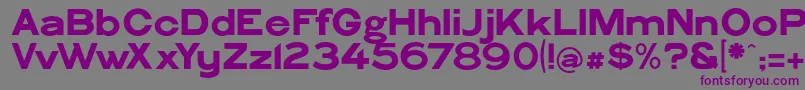 PhiladelphianGothic Font – Purple Fonts on Gray Background