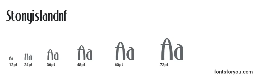 Размеры шрифта Stonyislandnf (96654)