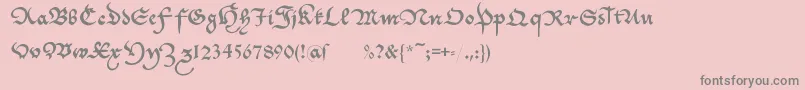 フォントCantzleyad1600 – ピンクの背景に灰色の文字