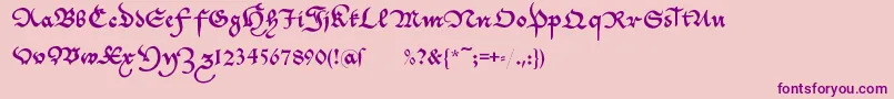 Cantzleyad1600 Font – Purple Fonts on Pink Background