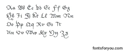 Review of the Cantzleyad1600 Font
