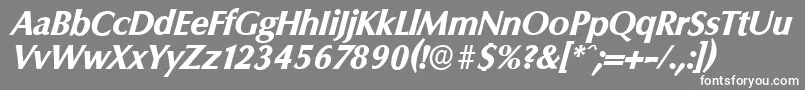 ColumbiaserialXboldItalic Font – White Fonts on Gray Background