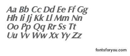 Review of the ColumbiaserialXboldItalic Font