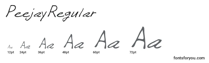 PeejayRegular Font Sizes
