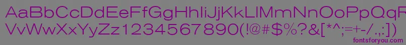 AnconaExLightRegular Font – Purple Fonts on Gray Background