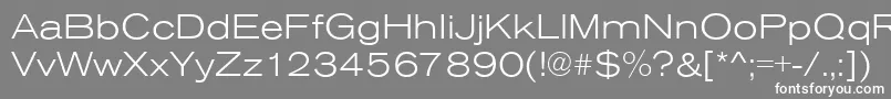 フォントAnconaExLightRegular – 灰色の背景に白い文字