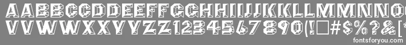 AnglesOctagon Font – White Fonts on Gray Background