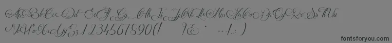 MathildeCastleland Font – Black Fonts on Gray Background
