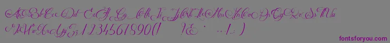 MathildeCastleland Font – Purple Fonts on Gray Background