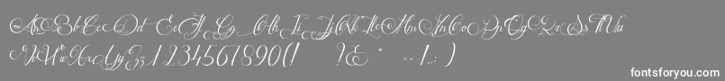 MathildeCastleland-Schriftart – Weiße Schriften auf grauem Hintergrund