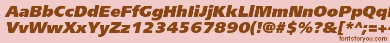 FreesetextraboldcItalic Font – Brown Fonts on Pink Background