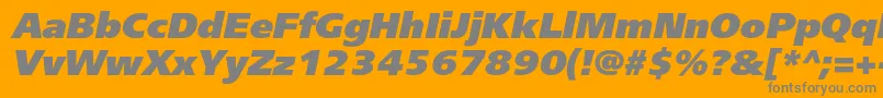 Подробнее о шрифте FreesetextraboldcItalic Шрифт FreesetextraboldcItalic – серые шрифты на оранжевом фоне
