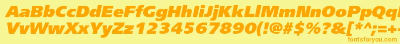 FreesetextraboldcItalic Font – Orange Fonts on Yellow Background