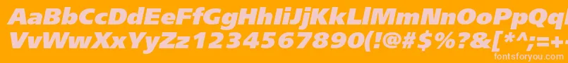 FreesetextraboldcItalic Font – Pink Fonts on Orange Background
