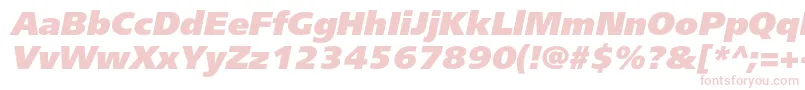 FreesetextraboldcItalic Font – Pink Fonts on White Background